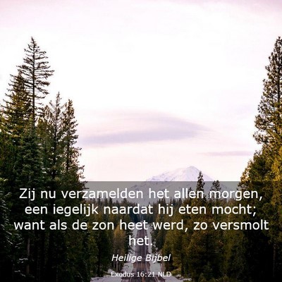 Picture 03 - Exodus 16:21 NLD - Zij nu verzamelden het allen morgen, een iegelijk - Bible Verse Picture