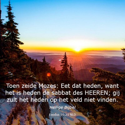 Picture 03 - Exodus 16:25 NLD - Toen zeide Mozes: Eet dat heden, want het is - Bible Verse Picture