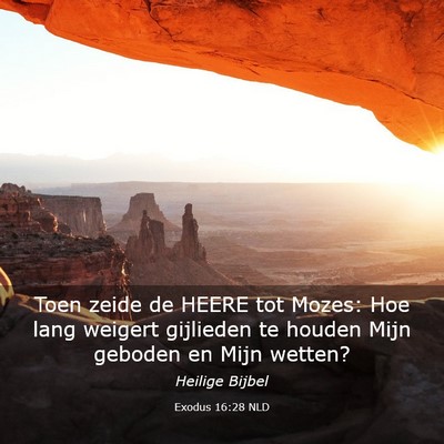 Picture 03 - Exodus 16:28 NLD - Toen zeide de HEERE tot Mozes: Hoe lang weigert - Bible Verse Picture