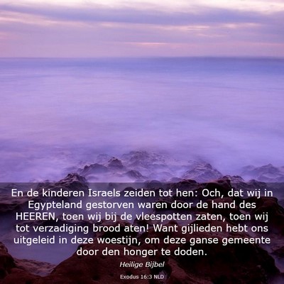 Picture 03 - Exodus 16:3 NLD - En de kinderen Israels zeiden tot hen: Och, dat - Bible Verse Picture