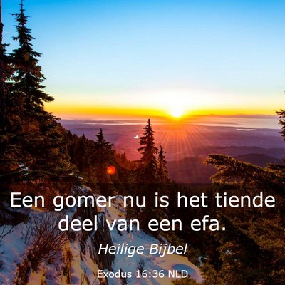 Picture 03 - Exodus 16:36 NLD - Een gomer nu is het tiende deel van een - Bible Verse Picture