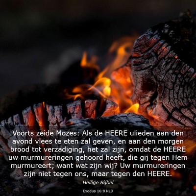 Picture 03 - Exodus 16:8 NLD - Voorts zeide Mozes: Als de HEERE ulieden aan den - Bible Verse Picture