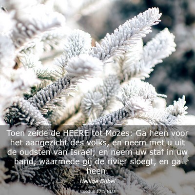 Picture 03 - Exodus 17:5 NLD - Toen zeide de HEERE tot Mozes: Ga heen voor het - Bible Verse Picture