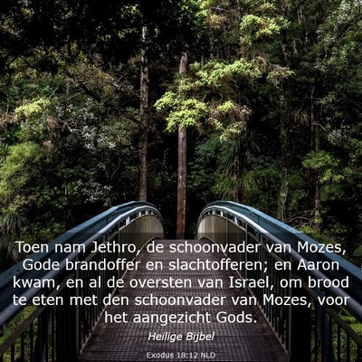 Picture 03 - Exodus 18:12 NLD - Toen nam Jethro, de schoonvader van Mozes, Gode - Bible Verse Picture