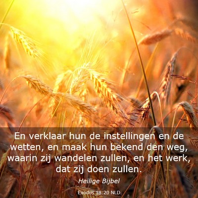 Picture 03 - Exodus 18:20 NLD - En verklaar hun de instellingen en de wetten, en - Bible Verse Picture