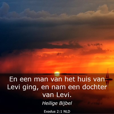 Picture 03 - Exodus 2:1 NLD - En een man van het huis van Levi ging, en nam een - Bible Verse Picture