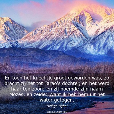 Picture 03 - Exodus 2:10 NLD - En toen het knechtje groot geworden was, zo - Bible Verse Picture