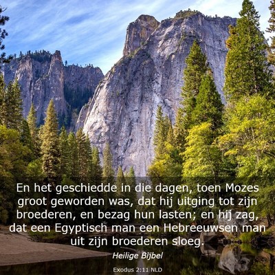 Picture 03 - Exodus 2:11 NLD - En het geschiedde in die dagen, toen Mozes groot - Bible Verse Picture