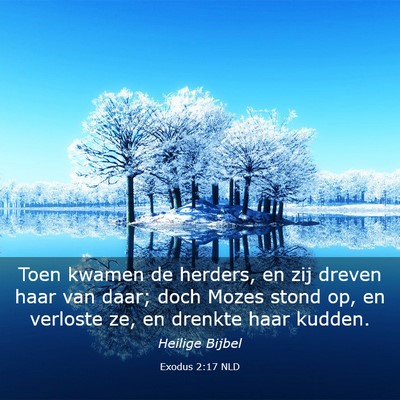 Picture 03 - Exodus 2:17 NLD - Toen kwamen de herders, en zij dreven haar van - Bible Verse Picture