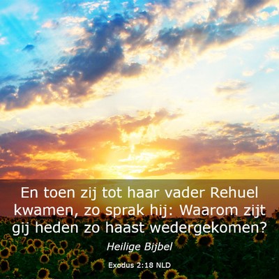 Picture 03 - Exodus 2:18 NLD - En toen zij tot haar vader Rehuel kwamen, zo - Bible Verse Picture