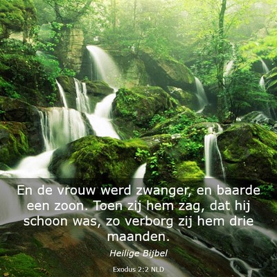 Picture 03 - Exodus 2:2 NLD - En de vrouw werd zwanger, en baarde een zoon. - Bible Verse Picture