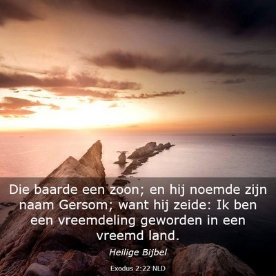 Picture 03 - Exodus 2:22 NLD - Die baarde een zoon; en hij noemde zijn naam - Bible Verse Picture