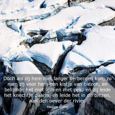 Picture 03 - Exodus 2:3 NLD - Doch als zij hem niet langer verbergen kon, zo - Bible Verse Picture
