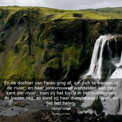 Picture 03 - Exodus 2:5 NLD - En de dochter van Farao ging af, om zich te - Bible Verse Picture