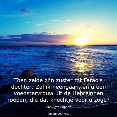 Picture 03 - Exodus 2:7 NLD - Toen zeide zijn zuster tot Farao's dochter: Zal - Bible Verse Picture