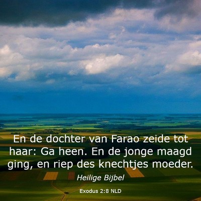 Picture 03 - Exodus 2:8 NLD - En de dochter van Farao zeide tot haar: Ga heen. - Bible Verse Picture