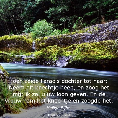 Picture 03 - Exodus 2:9 NLD - Toen zeide Farao's dochter tot haar: Neem dit - Bible Verse Picture