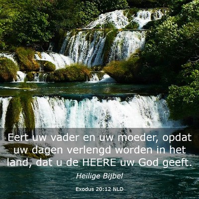 Picture 03 - Exodus 20:12 NLD - Eert uw vader en uw moeder, opdat uw dagen - Bible Verse Picture
