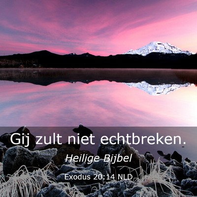 Picture 03 - Exodus 20:14 NLD - Gij zult niet - Bible Verse Picture