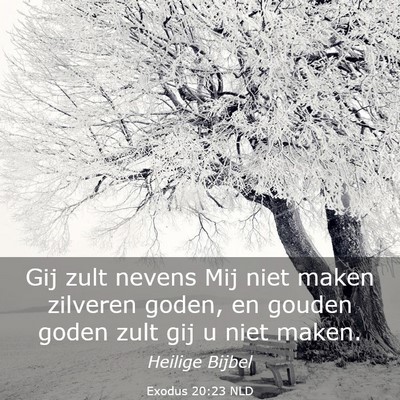 Picture 03 - Exodus 20:23 NLD - Gij zult nevens Mij niet maken zilveren goden, en - Bible Verse Picture