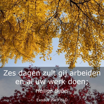 Picture 03 - Exodus 20:9 NLD - Zes dagen zult gij arbeiden en al uw werk - Bible Verse Picture