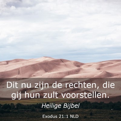 Picture 03 - Exodus 21:1 NLD - Dit nu zijn de rechten, die gij hun zult - Bible Verse Picture