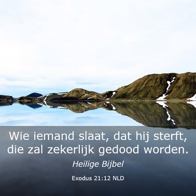 Picture 03 - Exodus 21:12 NLD - Wie iemand slaat, dat hij sterft, die zal - Bible Verse Picture