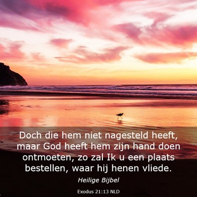 Picture 03 - Exodus 21:13 NLD - Doch die hem niet nagesteld heeft, maar God heeft - Bible Verse Picture