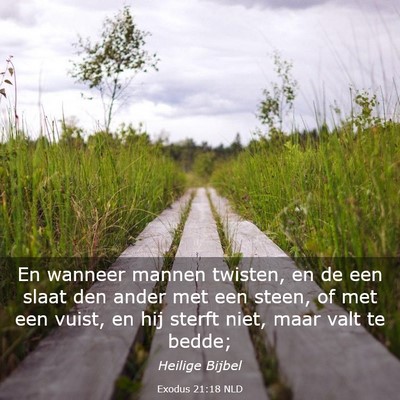 Picture 03 - Exodus 21:18 NLD - En wanneer mannen twisten, en de een slaat den - Bible Verse Picture