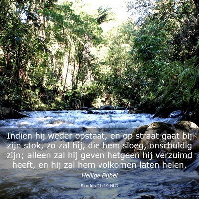 Picture 03 - Exodus 21:19 NLD - Indien hij weder opstaat, en op straat gaat bij - Bible Verse Picture