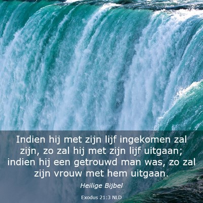 Picture 03 - Exodus 21:3 NLD - Indien hij met zijn lijf ingekomen zal zijn, zo - Bible Verse Picture