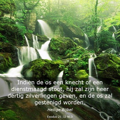 Picture 03 - Exodus 21:32 NLD - Indien de os een knecht of een dienstmaagd stoot, - Bible Verse Picture