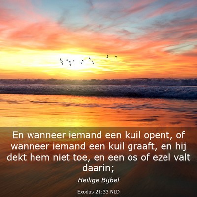 Picture 03 - Exodus 21:33 NLD - En wanneer iemand een kuil opent, of wanneer - Bible Verse Picture