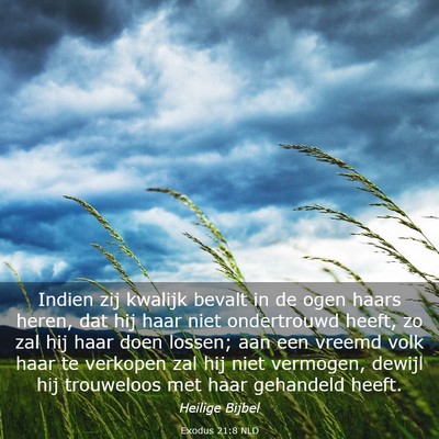 Picture 03 - Exodus 21:8 NLD - Indien zij kwalijk bevalt in de ogen haars heren, - Bible Verse Picture