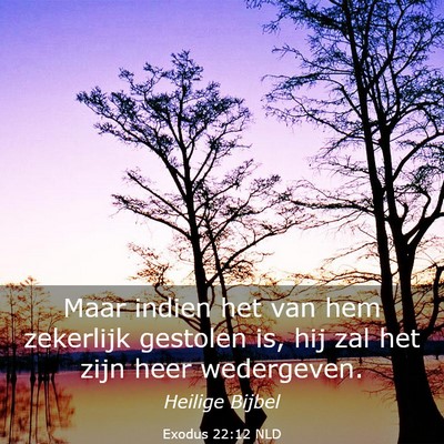 Picture 03 - Exodus 22:12 NLD - Maar indien het van hem zekerlijk gestolen is, - Bible Verse Picture