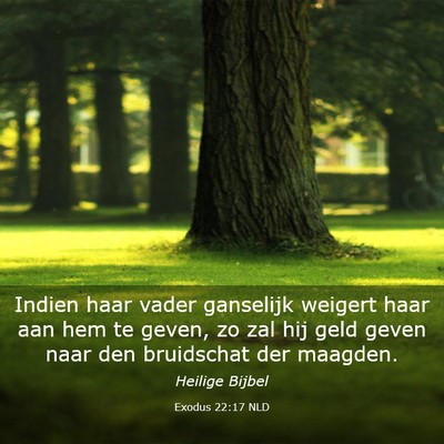 Picture 03 - Exodus 22:17 NLD - Indien haar vader ganselijk weigert haar aan hem - Bible Verse Picture