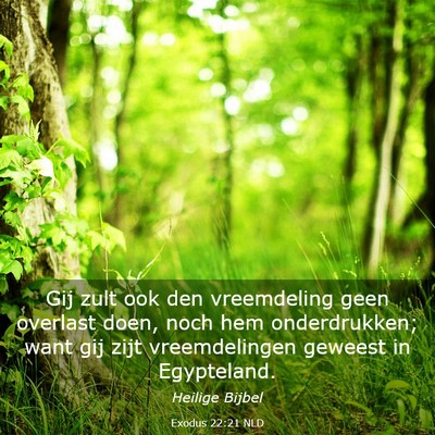 Picture 03 - Exodus 22:21 NLD - Gij zult ook den vreemdeling geen overlast doen, - Bible Verse Picture