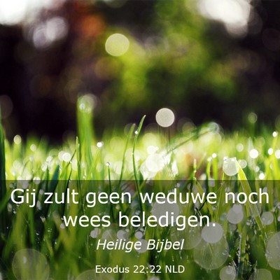 Picture 03 - Exodus 22:22 NLD - Gij zult geen weduwe noch wees - Bible Verse Picture