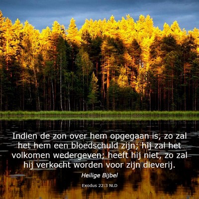 Picture 03 - Exodus 22:3 NLD - Indien de zon over hem opgegaan is, zo zal het - Bible Verse Picture