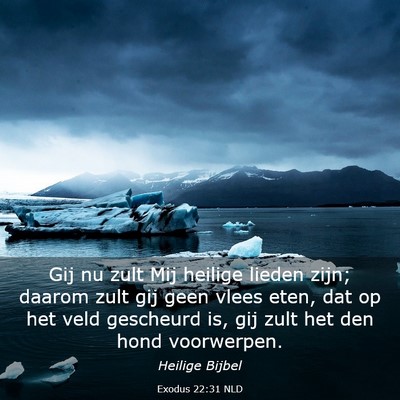 Picture 03 - Exodus 22:31 NLD - Gij nu zult Mij heilige lieden zijn; daarom zult - Bible Verse Picture