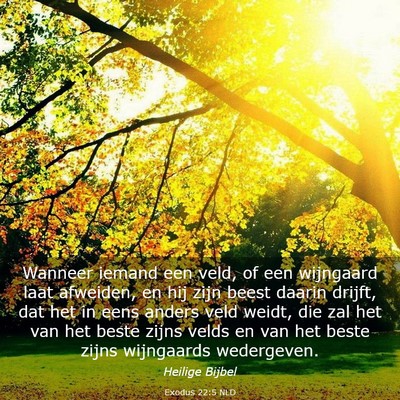 Picture 03 - Exodus 22:5 NLD - Wanneer iemand een veld, of een wijngaard laat - Bible Verse Picture
