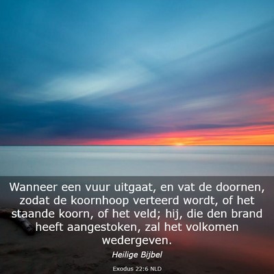 Picture 03 - Exodus 22:6 NLD - Wanneer een vuur uitgaat, en vat de doornen, - Bible Verse Picture