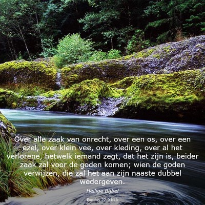 Picture 03 - Exodus 22:9 NLD - Over alle zaak van onrecht, over een os, over een - Bible Verse Picture