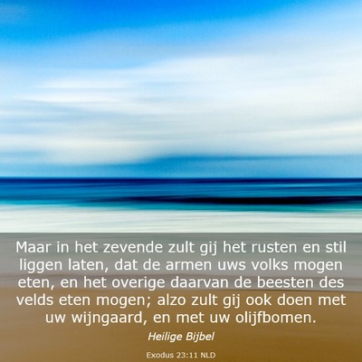 Picture 03 - Exodus 23:11 NLD - Maar in het zevende zult gij het rusten en stil - Bible Verse Picture