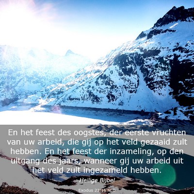 Picture 03 - Exodus 23:16 NLD - En het feest des oogstes, der eerste vruchten van - Bible Verse Picture