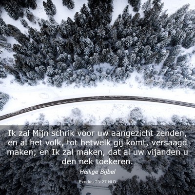 Picture 03 - Exodus 23:27 NLD - Ik zal Mijn schrik voor uw aangezicht zenden, en - Bible Verse Picture