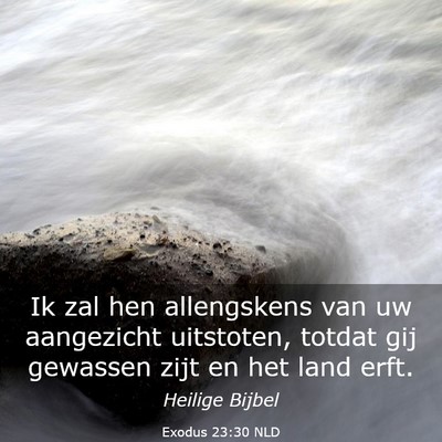 Picture 03 - Exodus 23:30 NLD - Ik zal hen allengskens van uw aangezicht - Bible Verse Picture