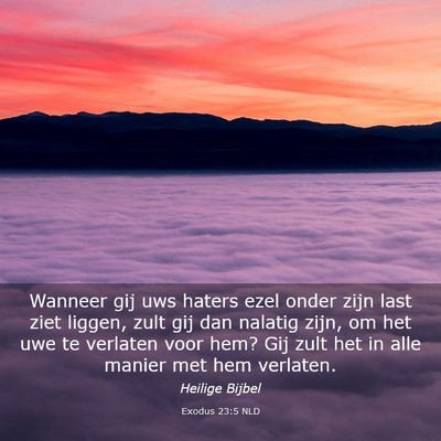 Picture 03 - Exodus 23:5 NLD - Wanneer gij uws haters ezel onder zijn last ziet - Bible Verse Picture