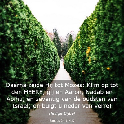 Picture 03 - Exodus 24:1 NLD - Daarna zeide Hij tot Mozes: Klim op tot den - Bible Verse Picture