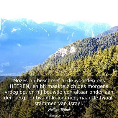 Picture 03 - Exodus 24:4 NLD - Mozes nu beschreef al de woorden des HEEREN, en - Bible Verse Picture